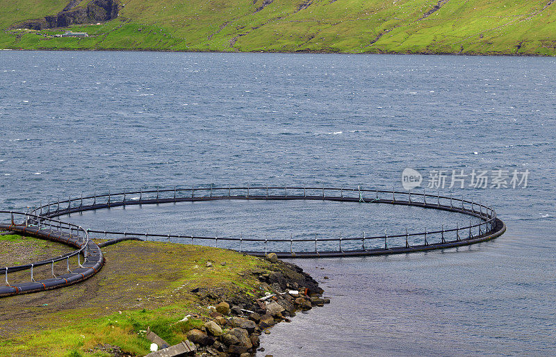 沿海鱼类养殖浮动网箱-海水养殖，Vid Air, Hvalvík，斯特里莫伊，法罗群岛